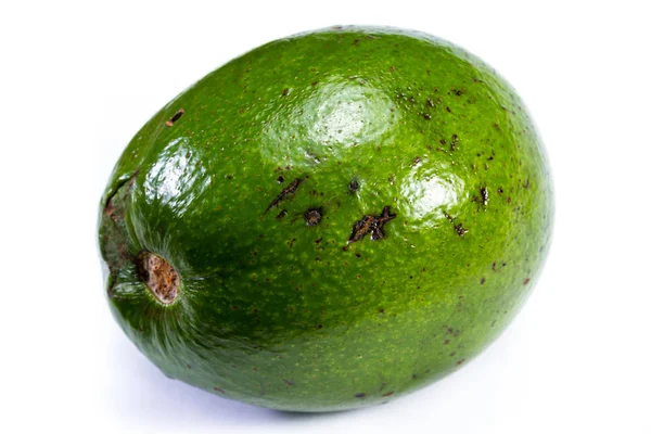 büyük yeşil avokado 