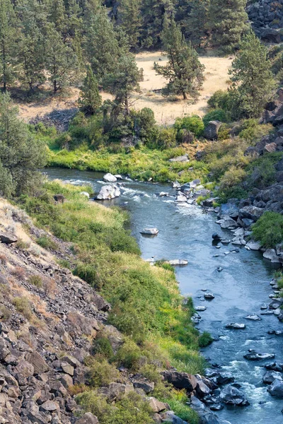 在俄勒冈州的弯曲的河 — 图库照片