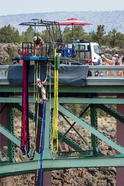 Bungee jumping Oregon — Stok fotoğraf