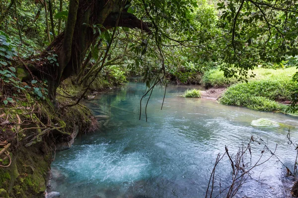 nehir kabarcıkları 