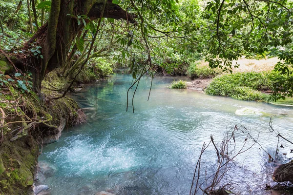 nehir kabarcıkları 