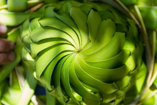 Pattern of a hat — Stock Photo, Image