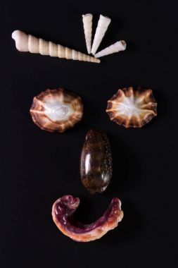 Deniz kabuğu yüzler