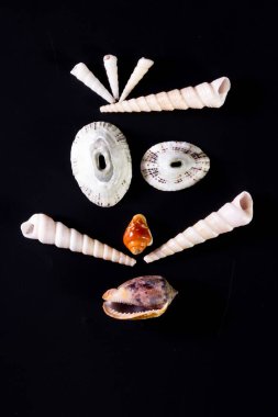 Deniz kabuğu yüzler