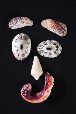 Deniz kabuğu yüzler