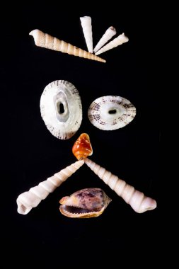 Deniz kabuğu yüzler