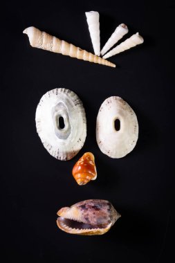 Deniz kabuğu yüzler