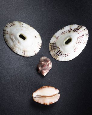 Deniz kabuğu yüzler