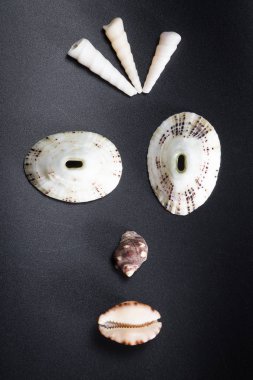 Deniz kabuğu yüzler