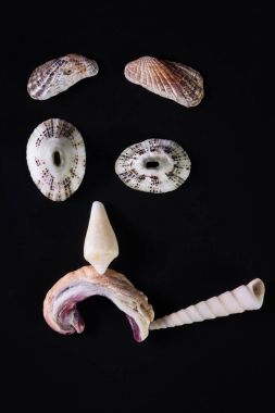 Deniz kabuğu yüzler