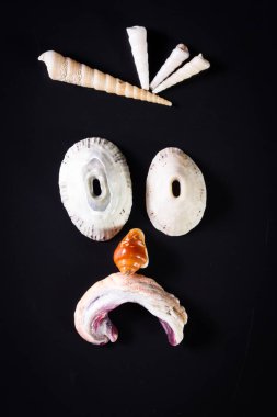 Deniz kabuğu yüzler