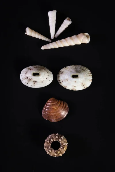 Sea shell faces — Stock Photo, Image