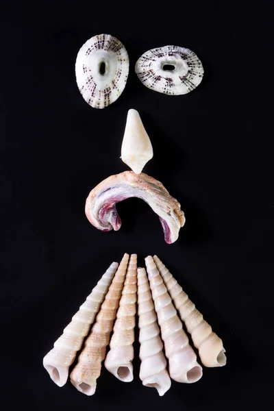 Sea shell ansikten — Stockfoto