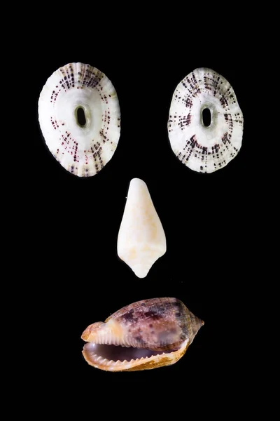 Sea shell faces — Stock Photo, Image