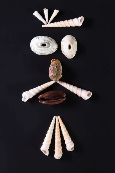Sea shell πρόσωπα — Φωτογραφία Αρχείου