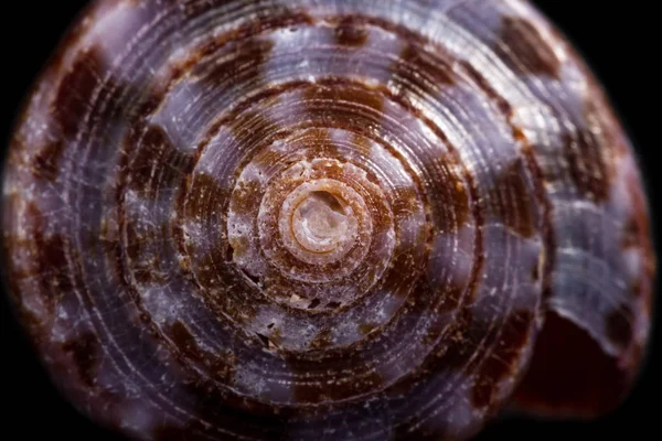 Arte per natura — Foto Stock