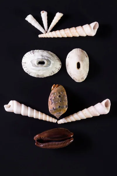 Sea shell faces — Stock Photo, Image