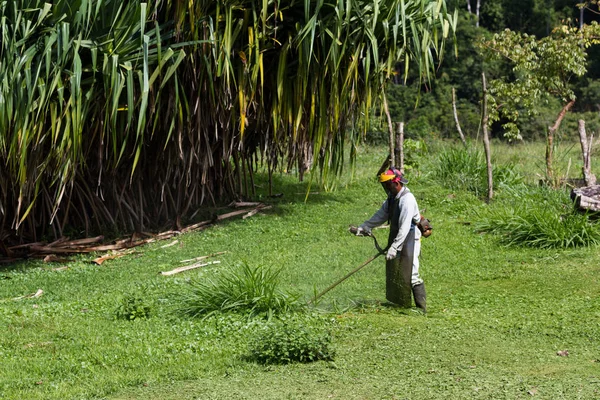 Mowing in Costa Rica — Stock Photo, Image