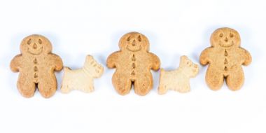 Zencefilli kurabiye adam ve köpeği 