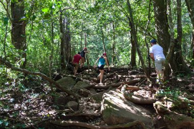 Kosta Rika'da yürüyüş 