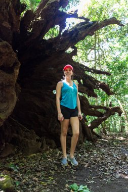 yağmur ormanlarında dev ağaçlar