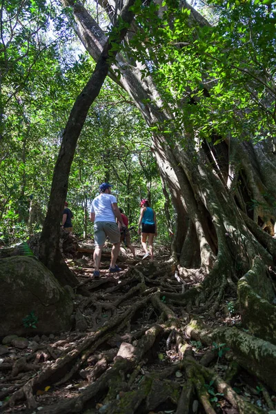 Пешие прогулки в Коста-Рике — стоковое фото