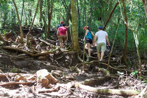 Senderismo en Costa Rica —  Fotos de Stock