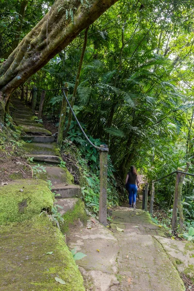 Passos na floresta tropical — Fotografia de Stock