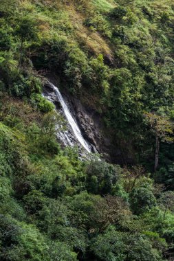 Kosta Rika tropik şelale
