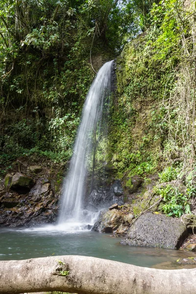 Cascate tropicali in Costa Rica — Foto Stock