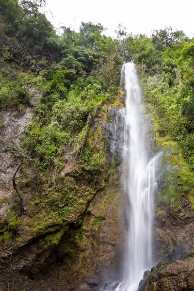 Cascate tropicali in Costa Rica — Foto Stock