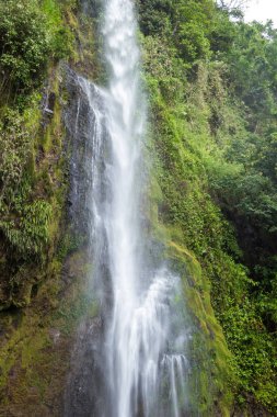 Kosta Rika tropik şelale