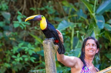 Vahşi bir toucan sevişme 