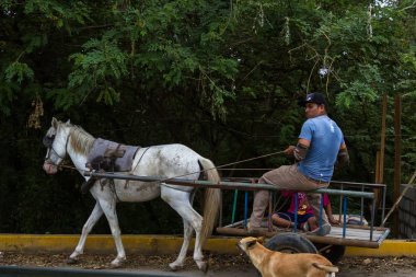 el arabası çekerek at
