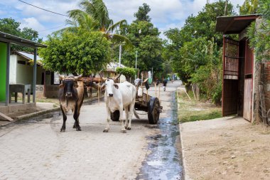 basit bir hayat Nikaragua, 2018