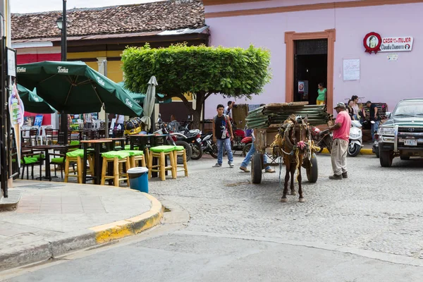 Cargo horse in Granada — Stock Photo, Image
