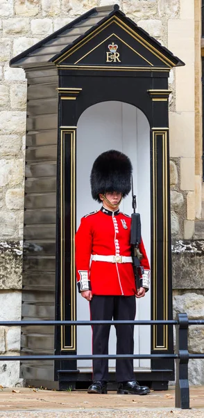 Queen 's Guard a londoni Towerben — Stock Fotó