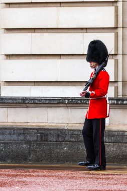 Buckingham Sarayı'ndaki Queens Guard
