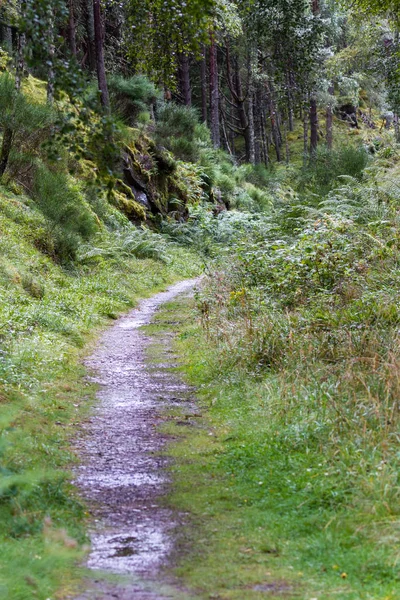 Ścieżka tru Highlands — Zdjęcie stockowe