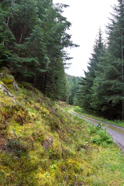 Krajobraz na szkockich wyżynach niedaleko Pitlochry — Zdjęcie stockowe