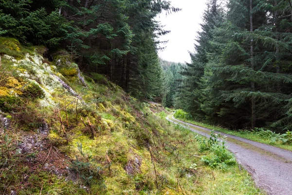 Paesaggio nelle Highlands scozzesi vicino a Pitlochry — Foto Stock