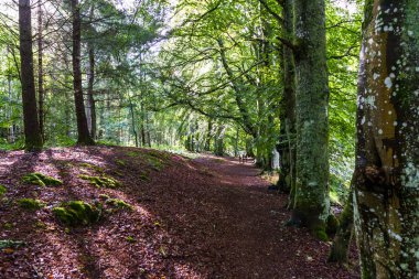 Blair Atholl, İskoçya 'da Yürüyüş