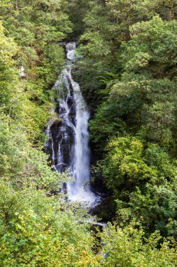 Siyah Ağaç Şelalesi