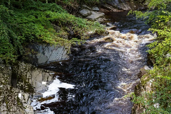Turfthee in de rivieren — Stockfoto