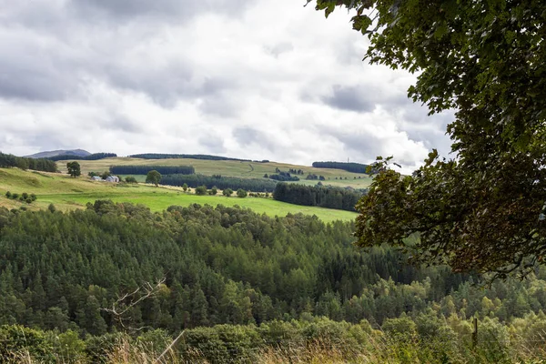 Farmland in the Highlands — Stock Photo, Image