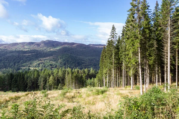 Krajina ve Skotské vrchovině u Pitlochry — Stock fotografie