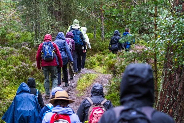 Walking in the Scottish Highlands — Stock Photo, Image