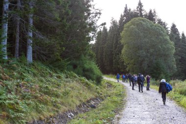 İskoçya'da yürürken 