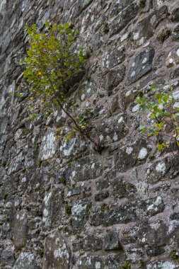 Eski Kirk, Balquhidder. 