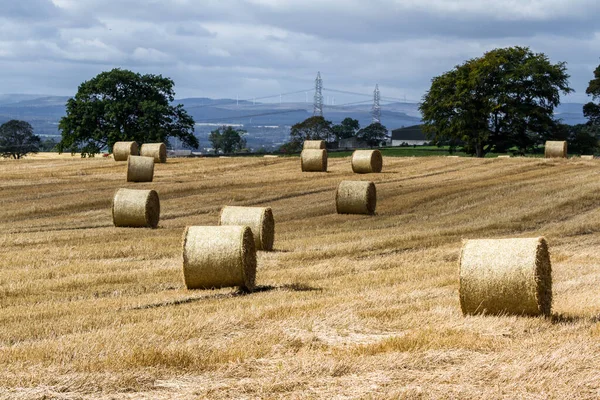 Hay bails in Scotland — Stock Photo, Image